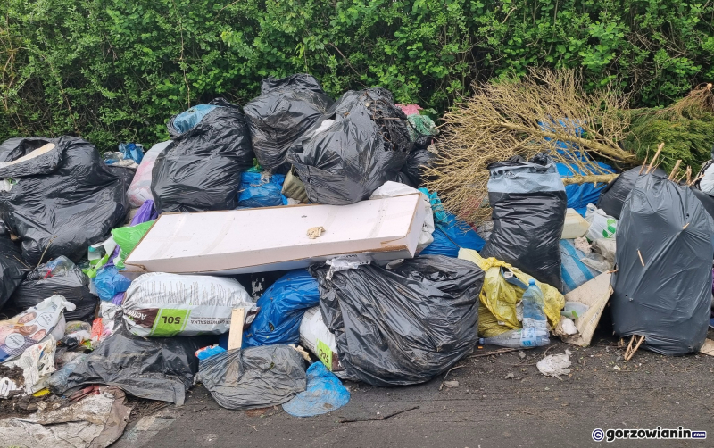 7/10 Góra śmieci urosła przy ogródkach działkowych na Zawarciu