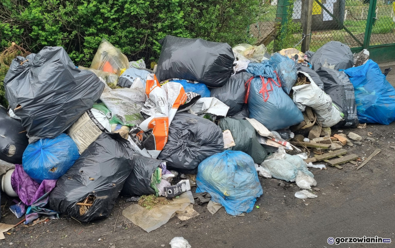 8/10 Góra śmieci urosła przy ogródkach działkowych na Zawarciu