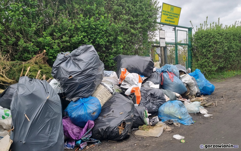 9/10 Góra śmieci urosła przy ogródkach działkowych na Zawarciu