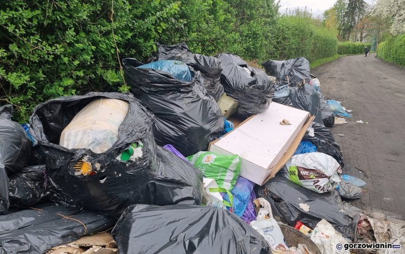 10/10 Góra śmieci urosła przy ogródkach działkowych na Zawarciu