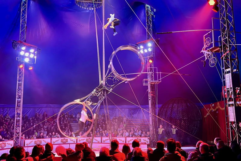 3/15 Cyrk Zalewski: Nowe show dla mieszkańców Gorzowa