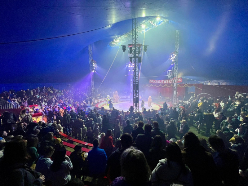 8/15 Cyrk Zalewski: Nowe show dla mieszkańców Gorzowa