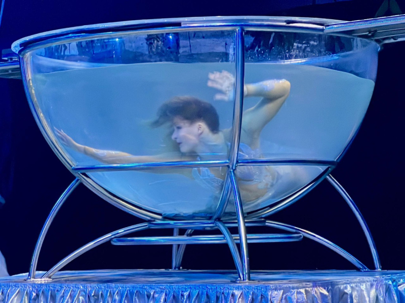 13/15 Cyrk Zalewski: Nowe show dla mieszkańców Gorzowa