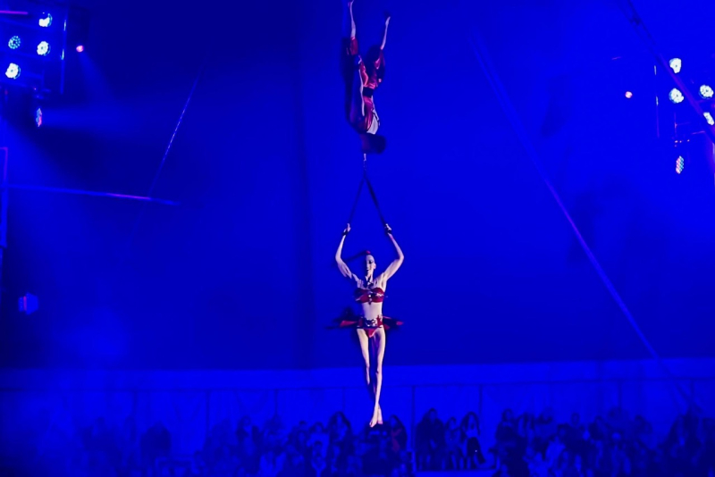 15/15 Cyrk Zalewski: Nowe show dla mieszkańców Gorzowa