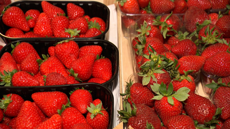 5/5 Ceny truskawek w Gorzowie przyprawiają o zawrót głowy