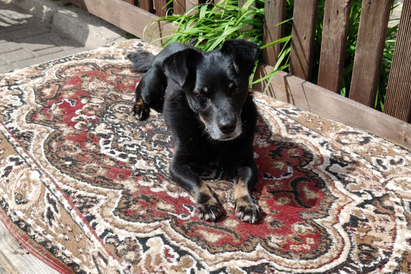 3/3 Taki los zgotował jej człowiek. Oprawca Soni usłyszał wyrok