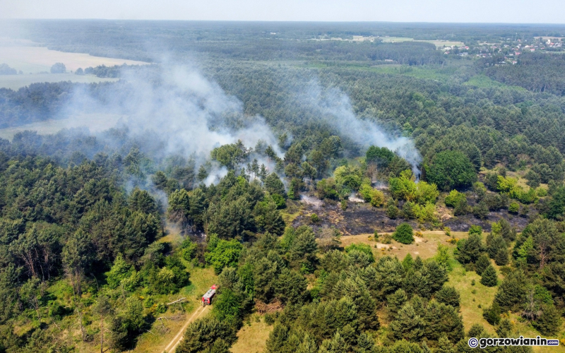 4/5 Pożar lasu koło Gorzowa