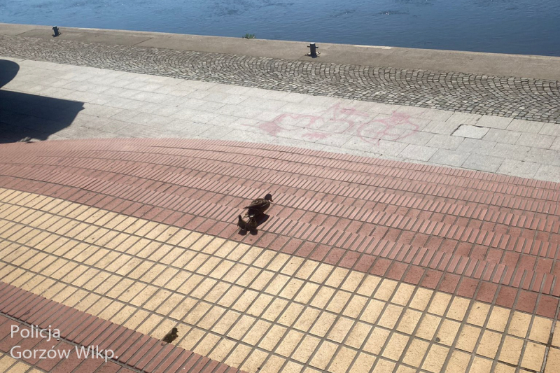 3/3 Gorzów: Policyjna eskorta kaczej rodziny