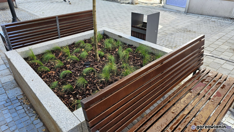 3/7 Hawelańska po rewitalizacji: Czy nowe oblicze ulicy przyciągnie najemców?