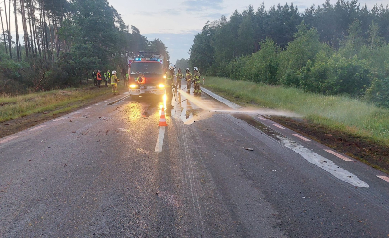 3/5 Konie wbiegły pod autobus na DK22. Zwierzęta nie przeżyły