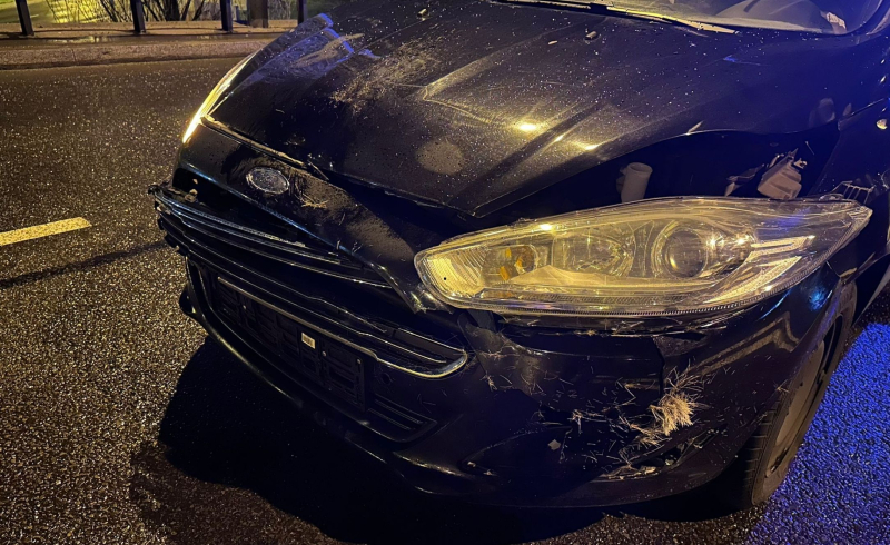 6/9 Ford zderzył się z sarną na Trasie Nadwarciańskiej