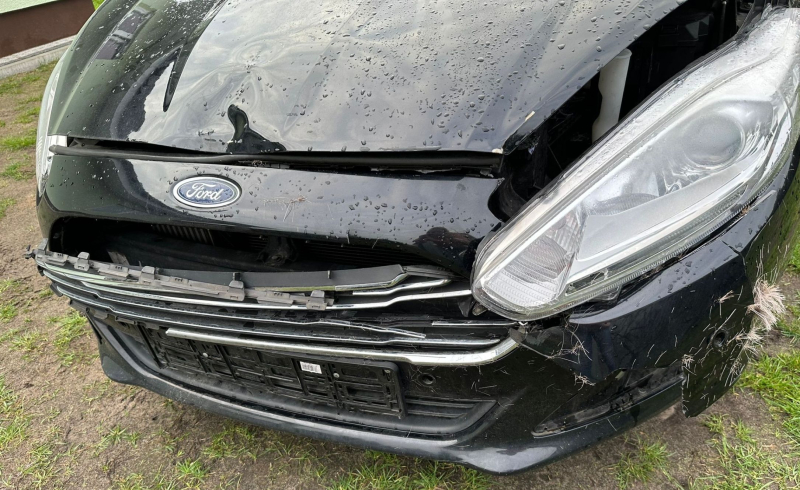 7/9 Ford zderzył się z sarną na Trasie Nadwarciańskiej