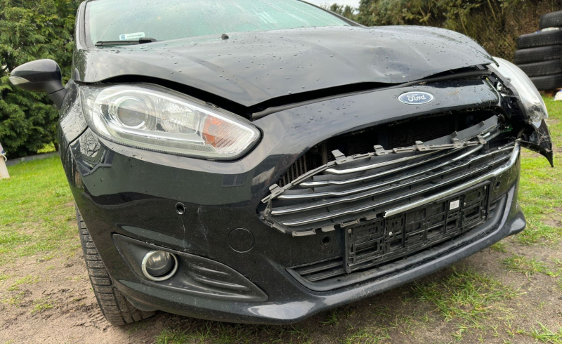 8/9 Ford zderzył się z sarną na Trasie Nadwarciańskiej