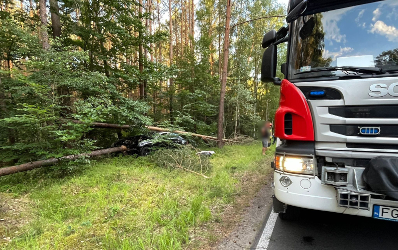 2/5 Pijany kierowca rozbił mercedesa o drzewa