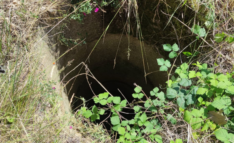 4/6 Pies wpadł do głębokiej studni