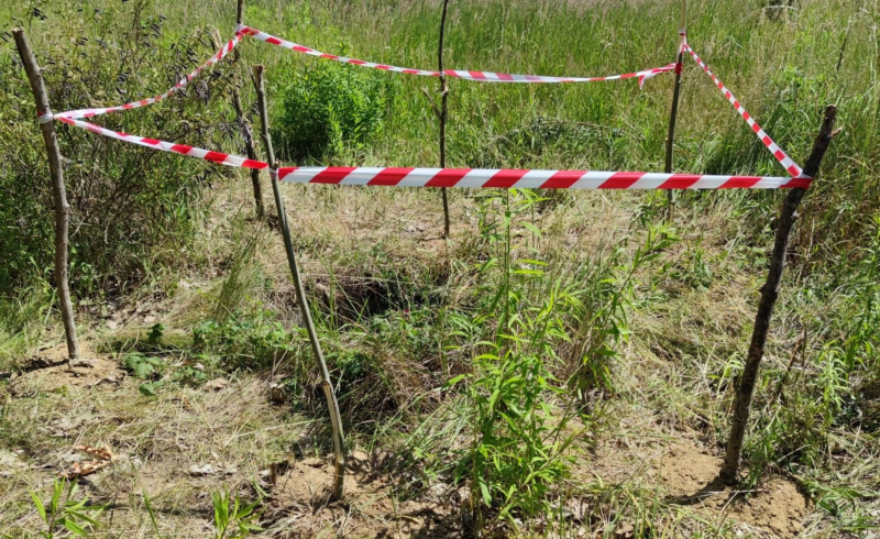 5/6 Pies wpadł do głębokiej studni
