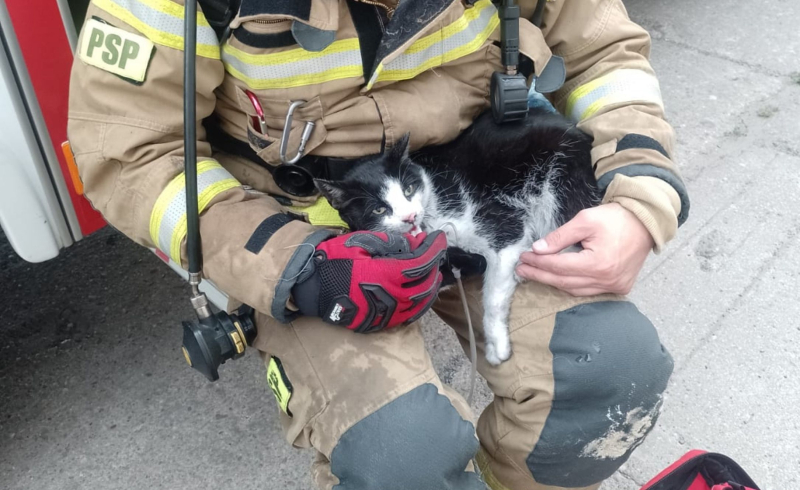 5/6 Pożar mieszkania przy ul. Niepodległości w Gorzowie