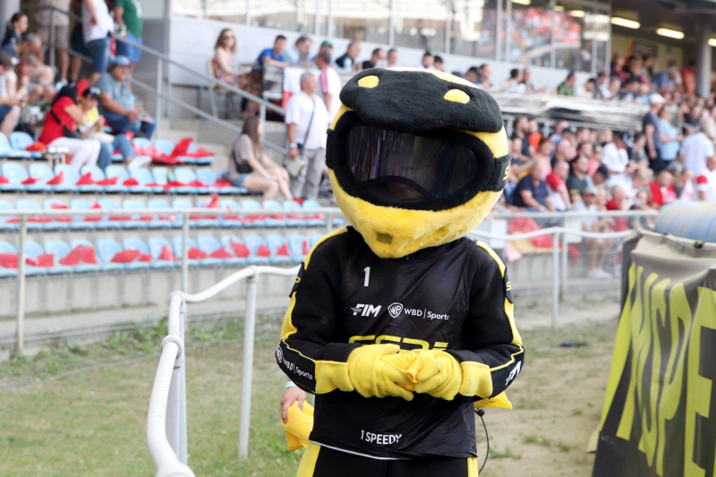 11/81 Grand Prix na żużlu w Gorzowie