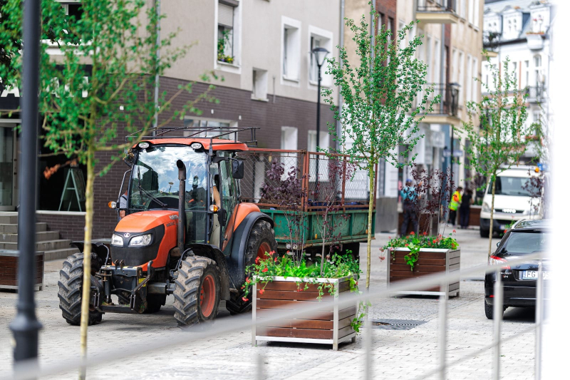 3/8 Trwa sadzenie zieleni na Hawelańskiej i Wełnianym Rynku