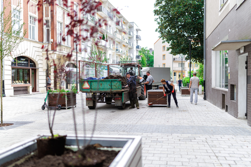 8/8 Trwa sadzenie zieleni na Hawelańskiej i Wełnianym Rynku