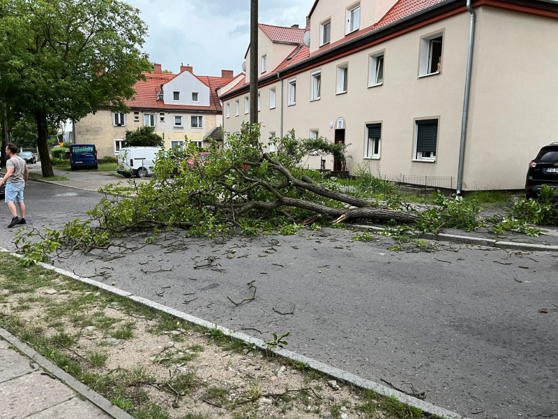 4/14 Skutki wichury w Gorzowie