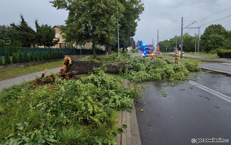 6/14 Skutki wichury w Gorzowie