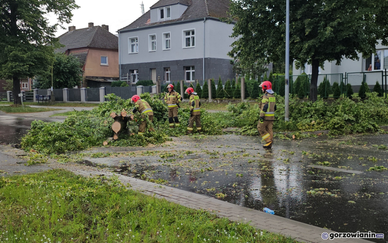 7/14 Skutki wichury w Gorzowie