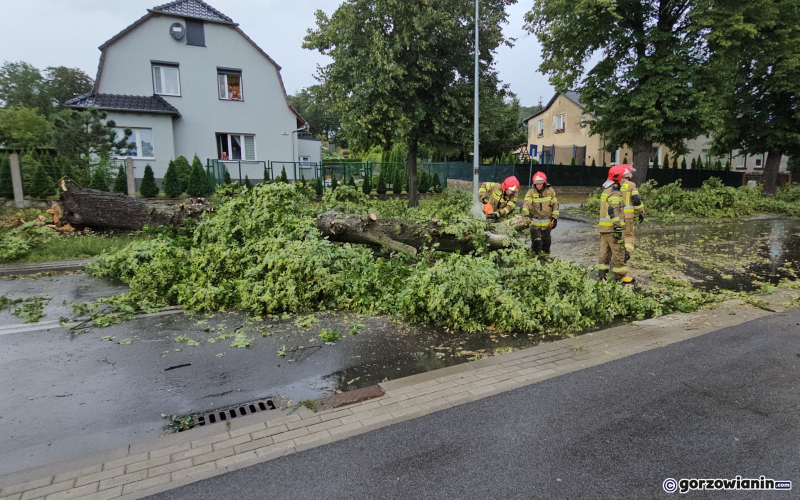 8/14 Skutki wichury w Gorzowie