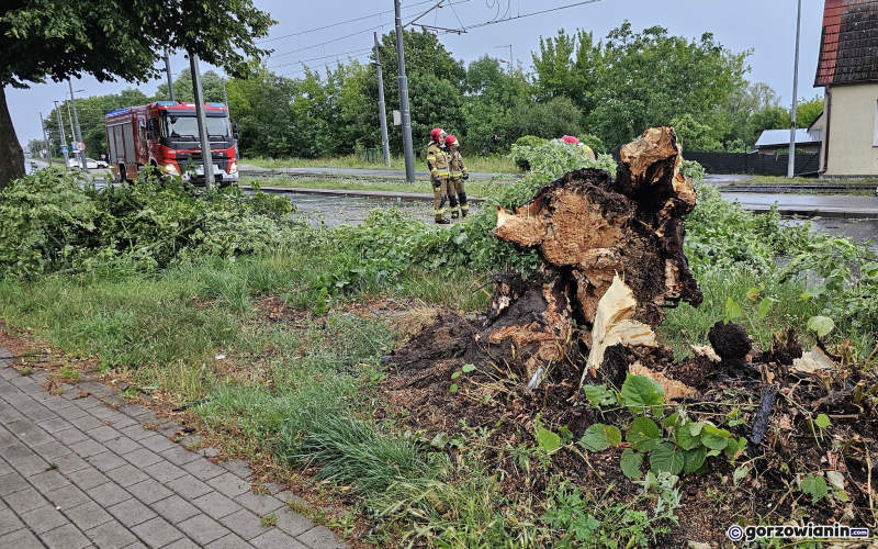 9/14 Skutki wichury w Gorzowie