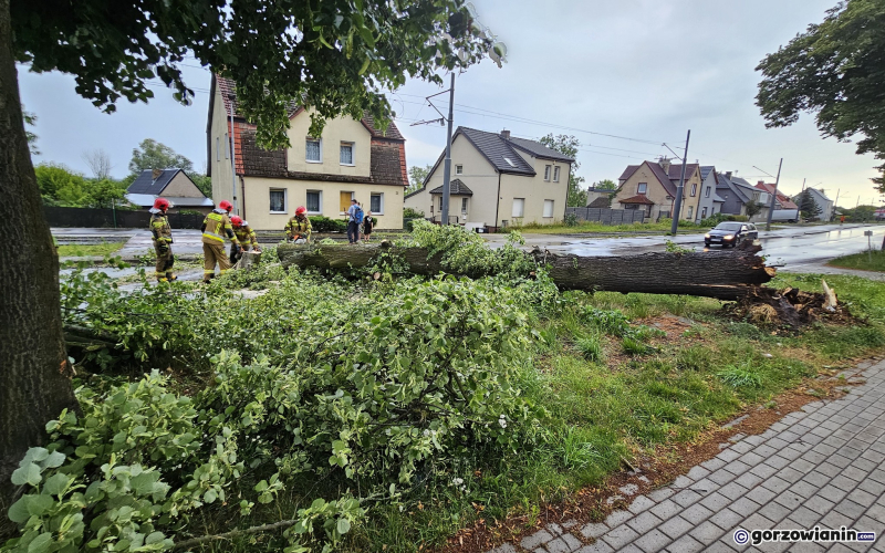 10/14 Skutki wichury w Gorzowie
