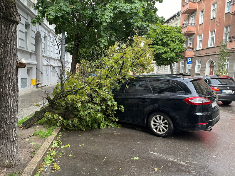 11/14 Skutki wichury w Gorzowie