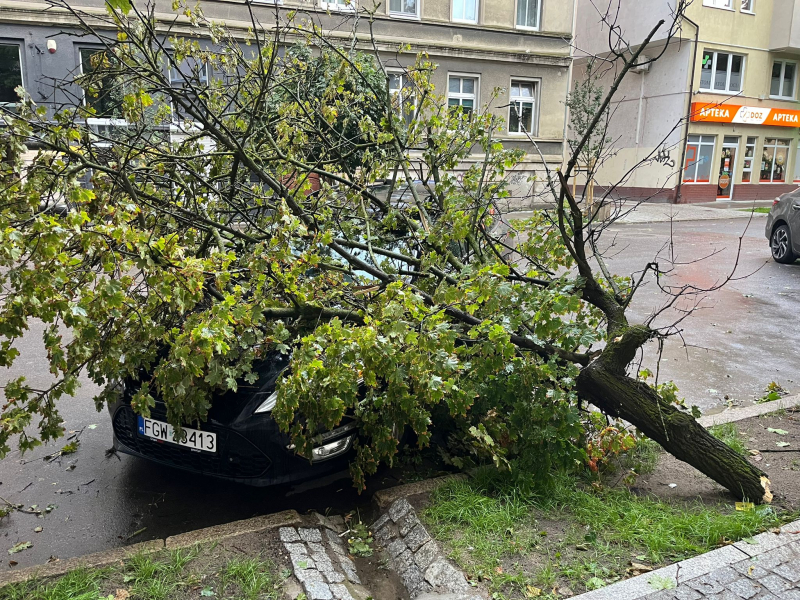 12/14 Skutki wichury w Gorzowie