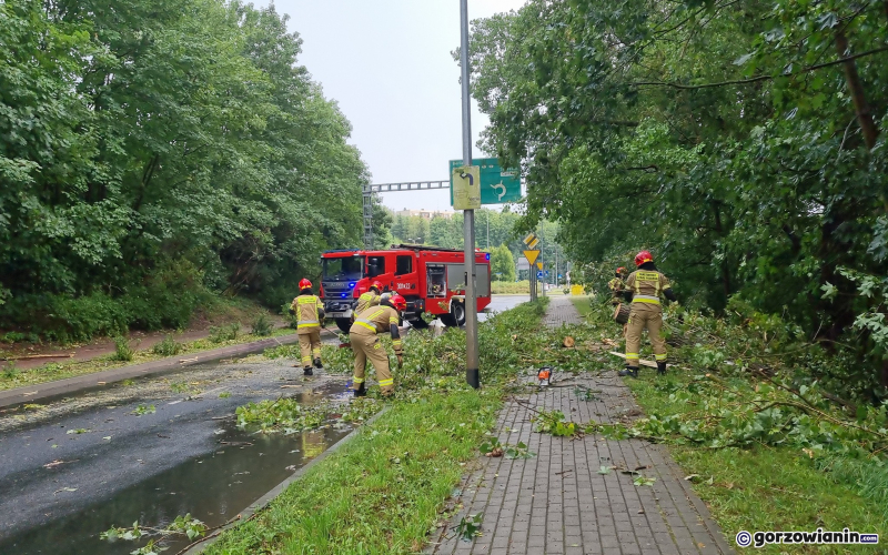 3/4 Połamane drzewo przy ul. Wyszyńskiego