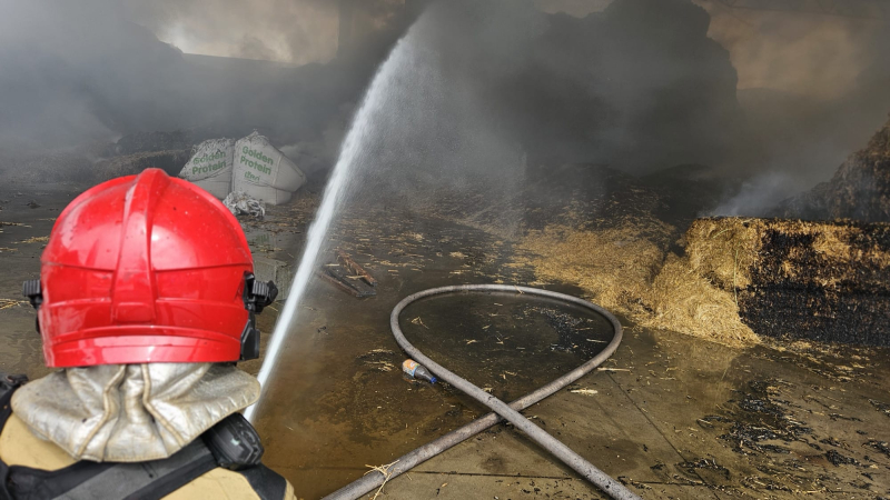 8/9 Pożar w Gliniku koło Gorzowa