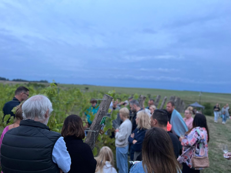 6/7 Niezapomniane lato w Winnicy Bergkolonie w Górkach koło Gorzowa