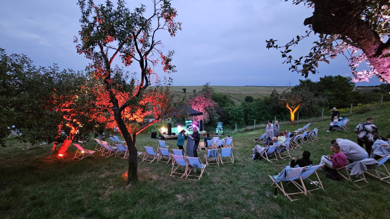 7/7 Niezapomniane lato w Winnicy Bergkolonie w Górkach koło Gorzowa