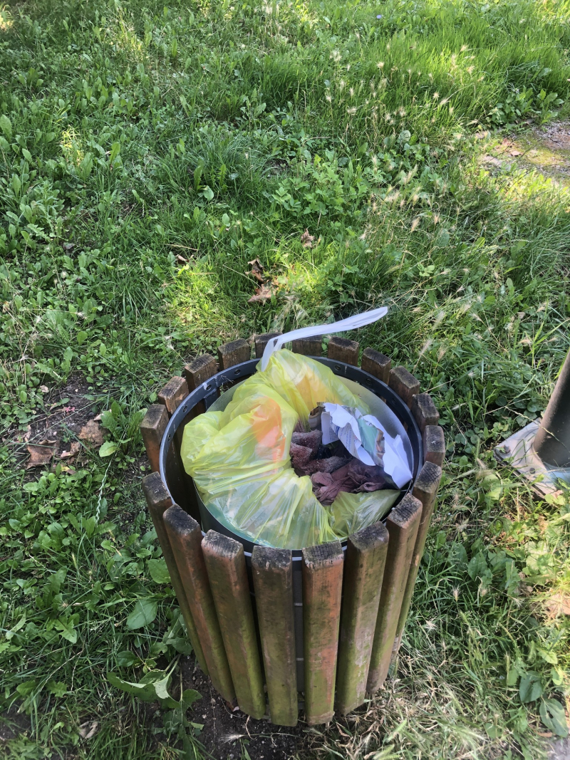 8/13 Sprzątnie okolic Kłodawki. Akcja Stowarzyszenia na Rzecz Estetyki