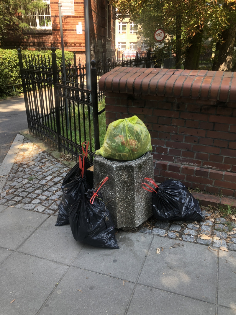 12/13 Sprzątnie okolic Kłodawki. Akcja Stowarzyszenia na Rzecz Estetyki