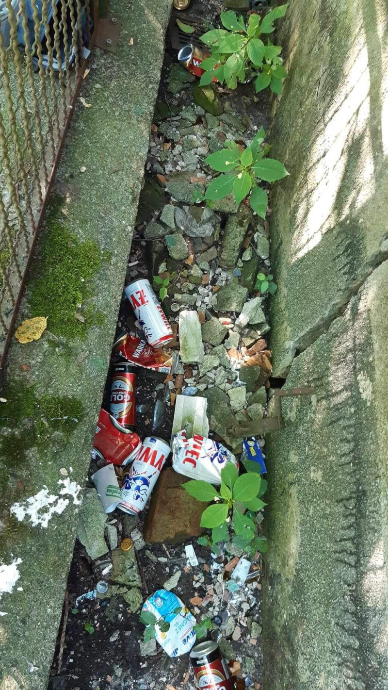 13/13 Sprzątnie okolic Kłodawki. Akcja Stowarzyszenia na Rzecz Estetyki