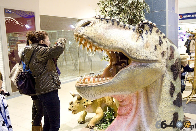 3/23 Gorzów: CH Panorama - Wielka Wystawa Powrót Dinozaurów