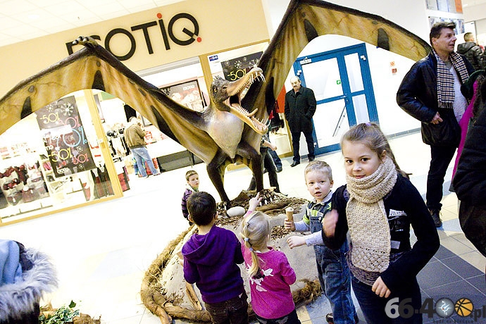 5/23 Gorzów: CH Panorama - Wielka Wystawa Powrót Dinozaurów