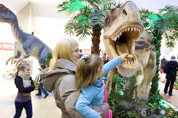 6/23 Gorzów: CH Panorama - Wielka Wystawa Powrót Dinozaurów