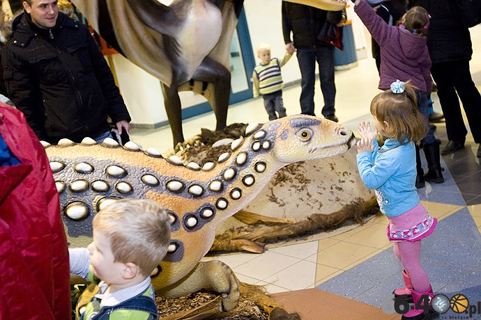 8/23 Gorzów: CH Panorama - Wielka Wystawa Powrót Dinozaurów