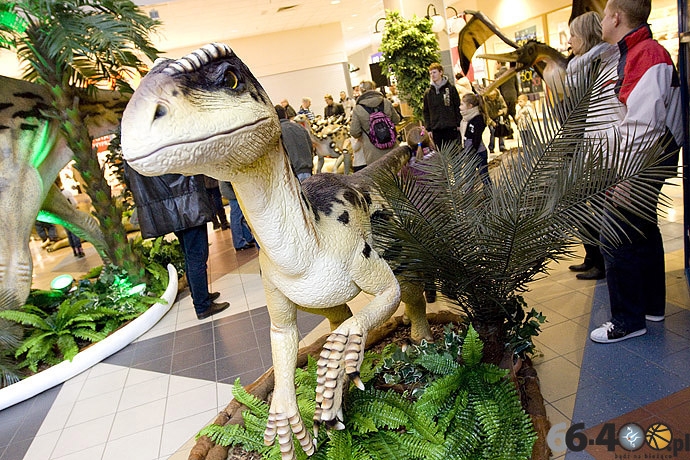 9/23 Gorzów: CH Panorama - Wielka Wystawa Powrót Dinozaurów