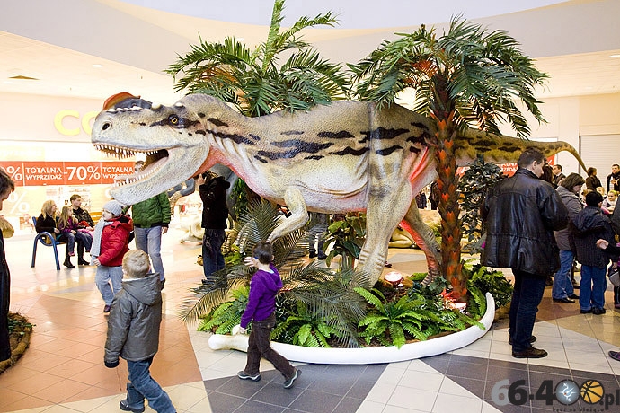 10/23 Gorzów: CH Panorama - Wielka Wystawa Powrót Dinozaurów