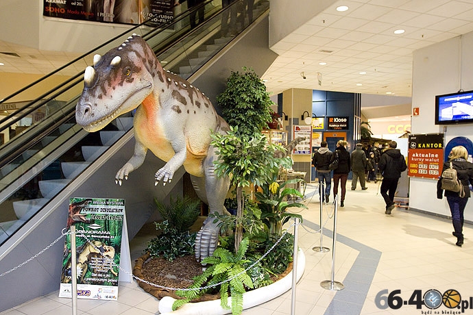 11/23 Gorzów: CH Panorama - Wielka Wystawa Powrót Dinozaurów