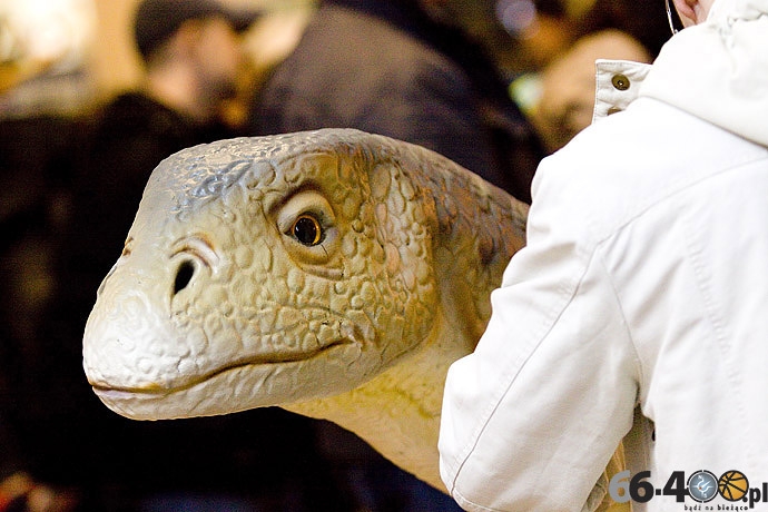 14/23 Gorzów: CH Panorama - Wielka Wystawa Powrót Dinozaurów