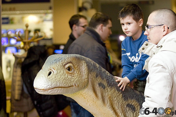 15/23 Gorzów: CH Panorama - Wielka Wystawa Powrót Dinozaurów