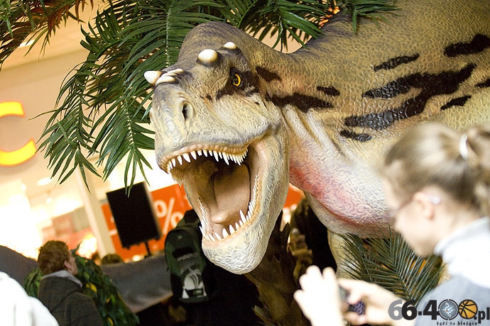 16/23 Gorzów: CH Panorama - Wielka Wystawa Powrót Dinozaurów