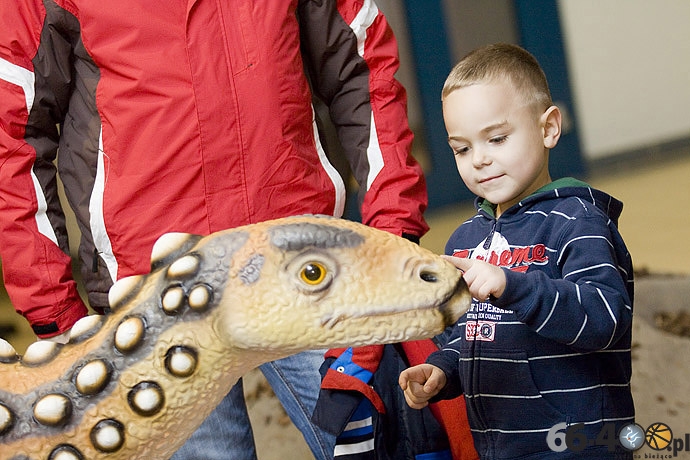 19/23 Gorzów: CH Panorama - Wielka Wystawa Powrót Dinozaurów